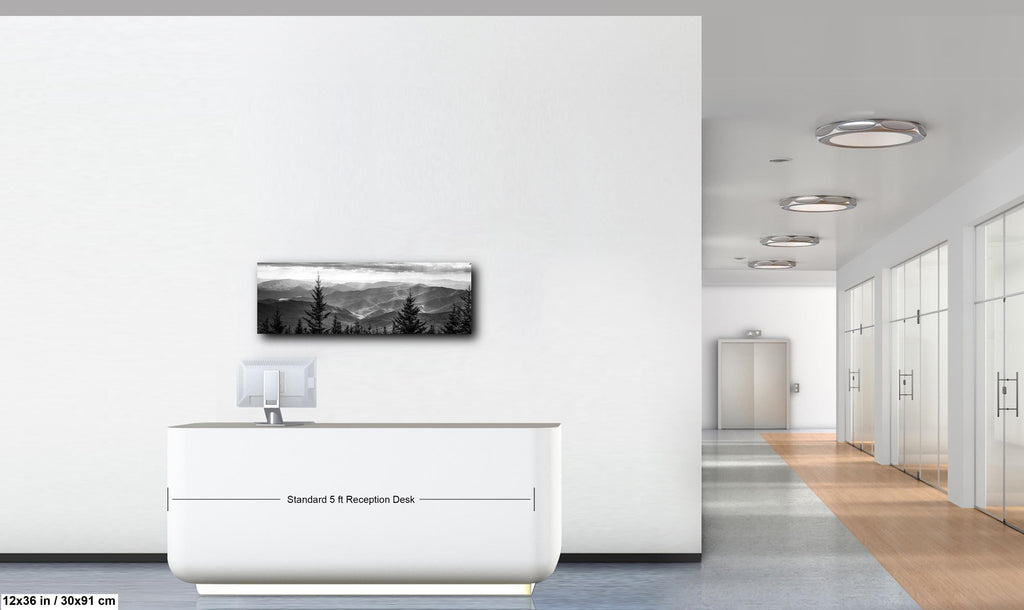 Stormbound Silence: Great Smoky Mountains National Park Tennessee Wall Art