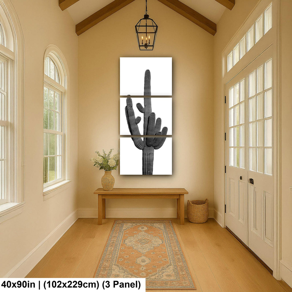 Black and White Saguaro Cactus Arizona Desert Photography Wall Art