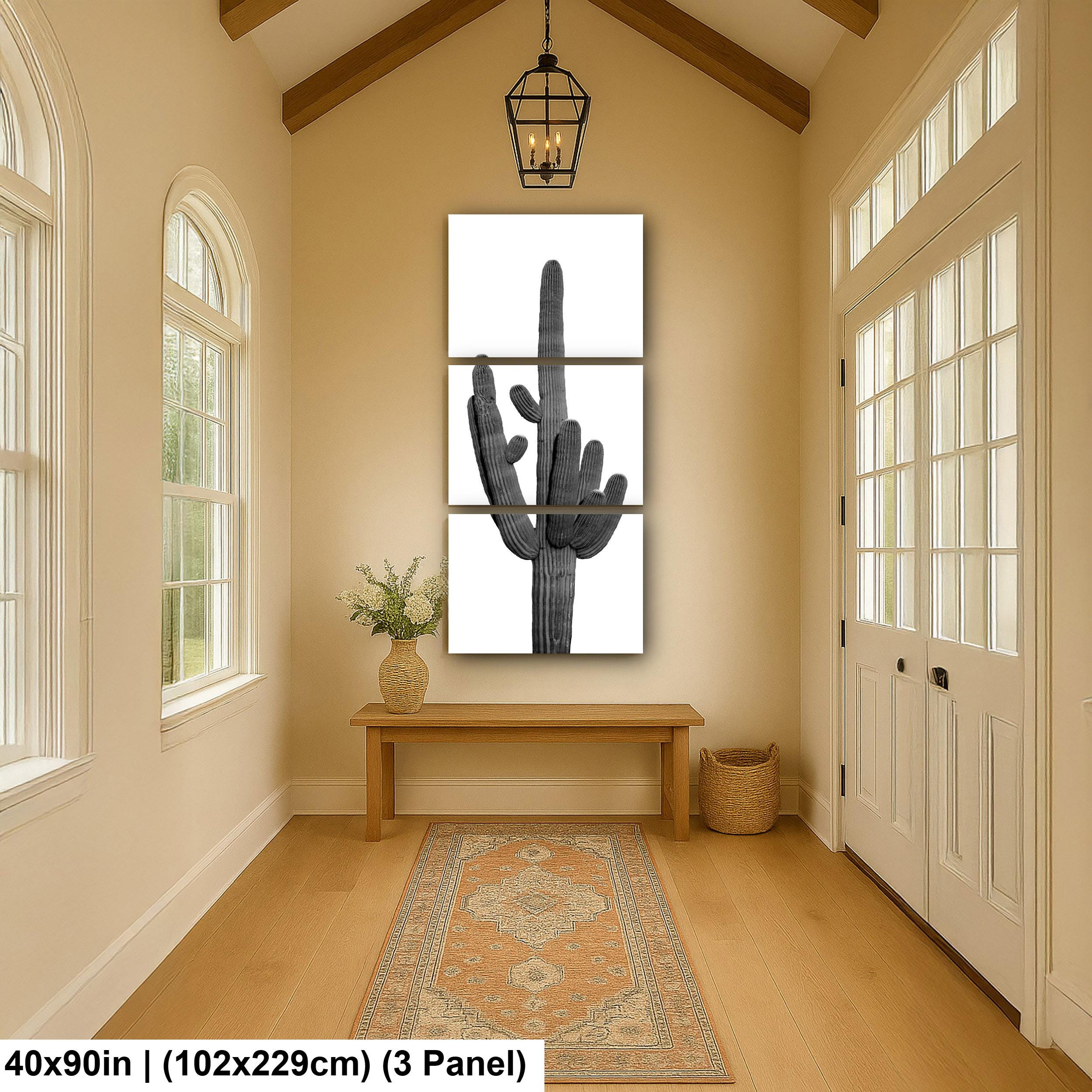 Black and White Saguaro Cactus Arizona Desert Photography Wall Art