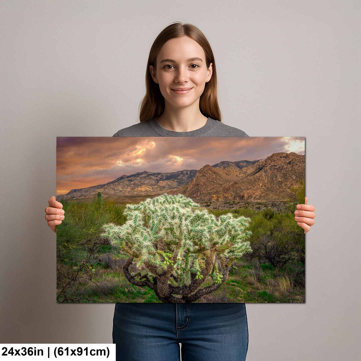 Cholla Cactus at Sunset - Catalina State Park Tucson Arizona Photography Print
