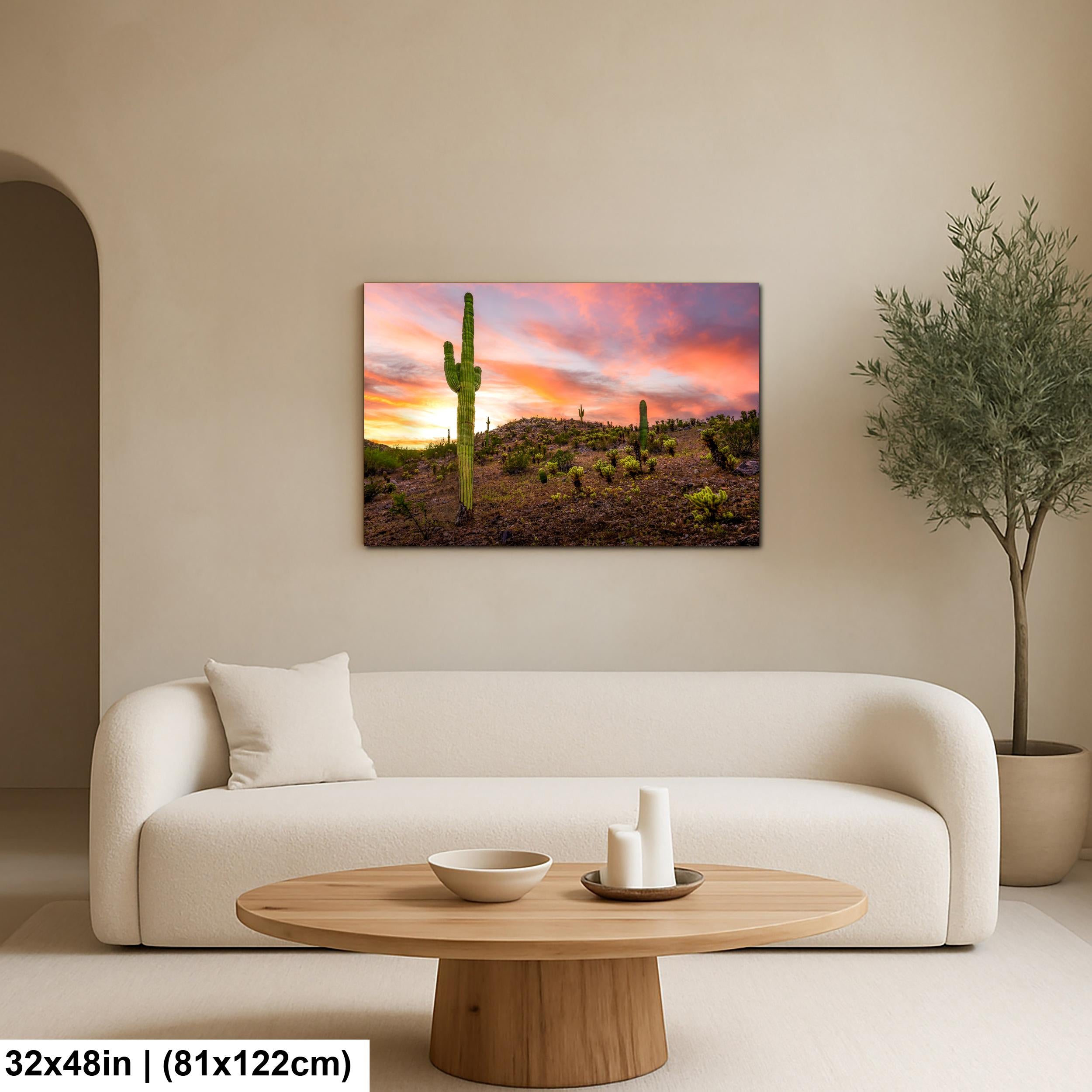 Towering Saguaro at Sunset - Sonoran Desert Casa Grande Arizona Photography Print