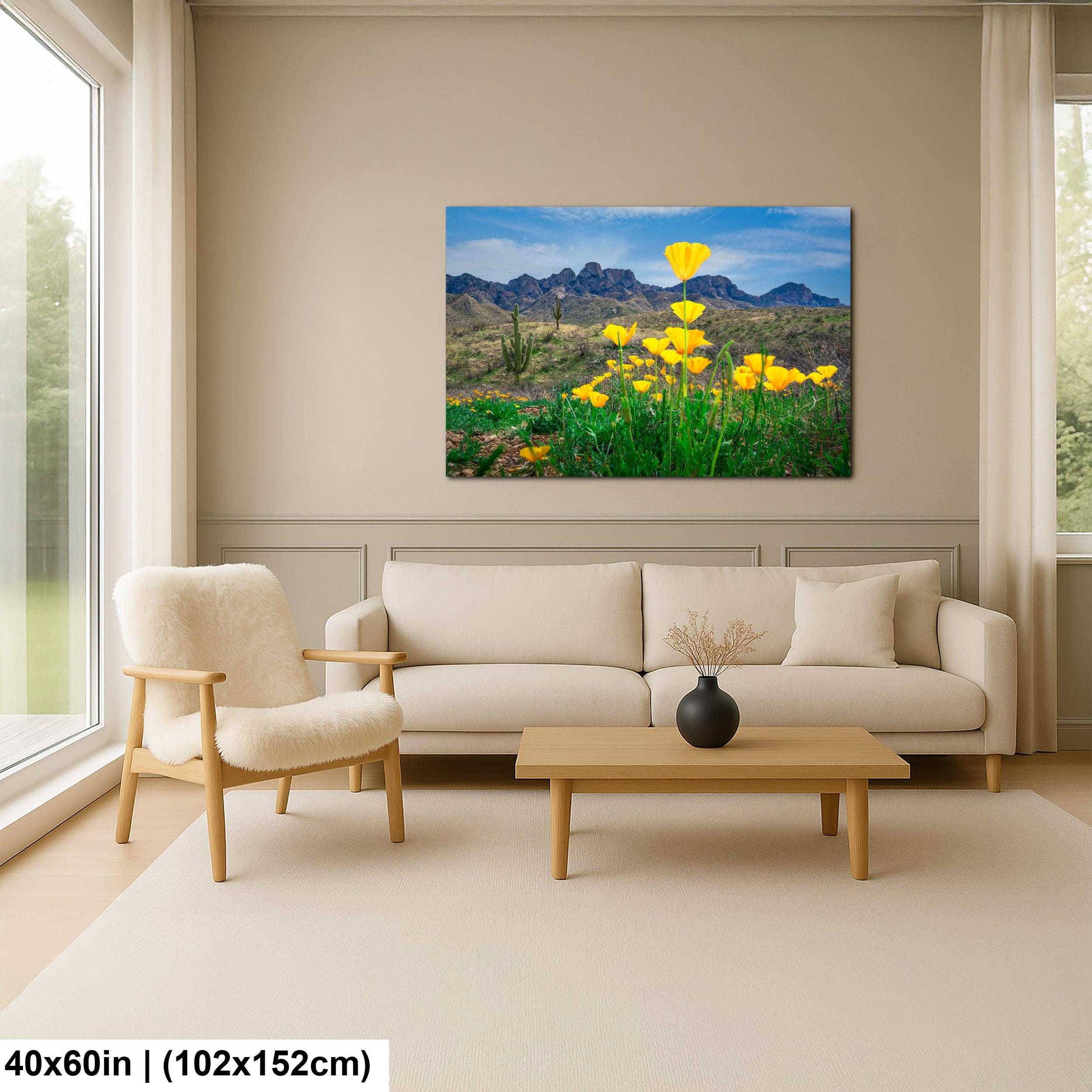 Arizona Poppies in Bloom with Saguaros and Mountains - Catalina State Park Tucson Photography Print