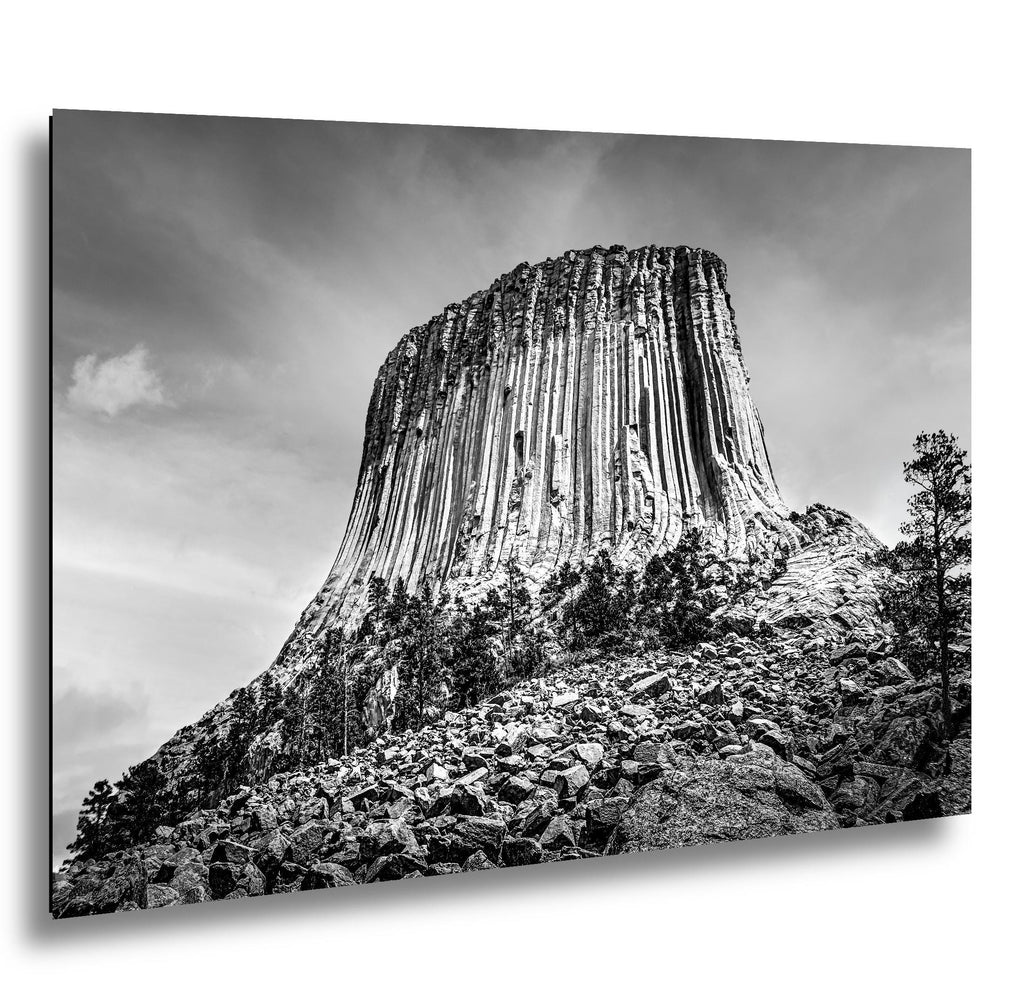 Basalt Monolith: Devils Tower Wyoming Black and White Photography Wall Art