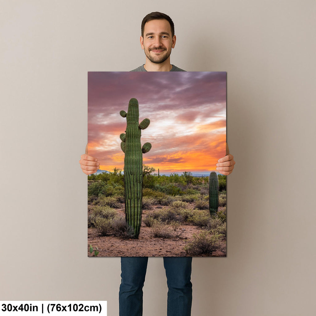 Sonoran Desert with Tall Saguaro Cactus Arizona Wall Art Photography Hanging Home Decor