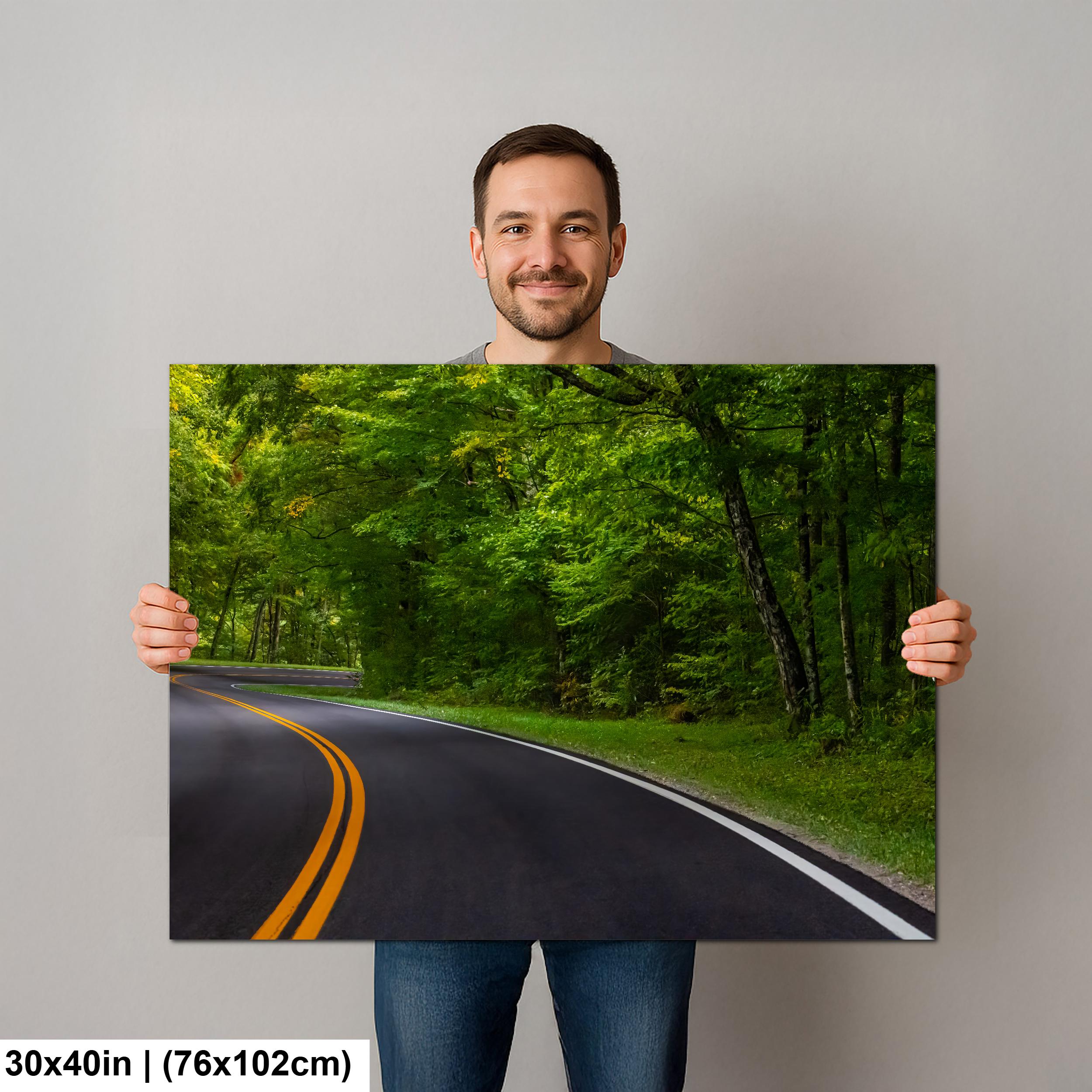 Forest Passage: Curved Road Great Smoky Mountains National Park Wall Art