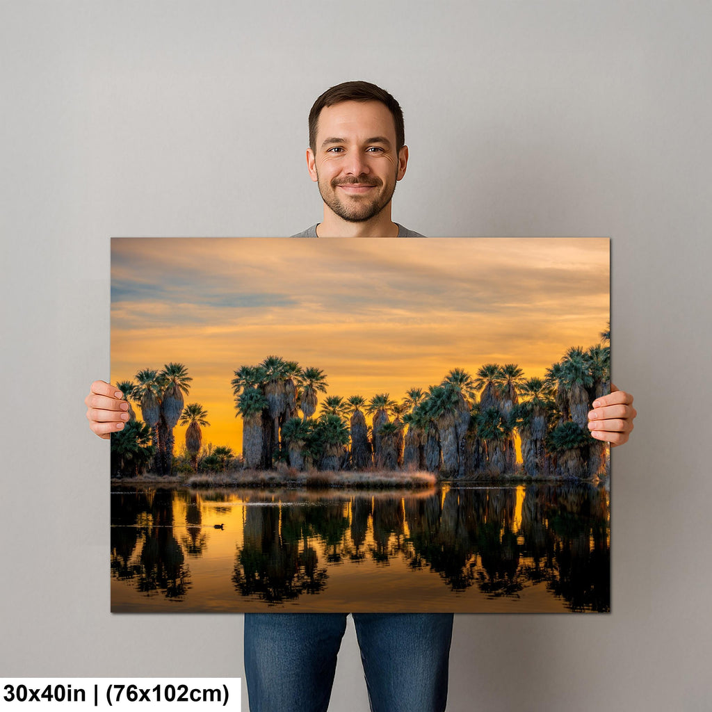 Agua Caliente Desert Palm Oasis Sunset Tucson Arizona Photography Print