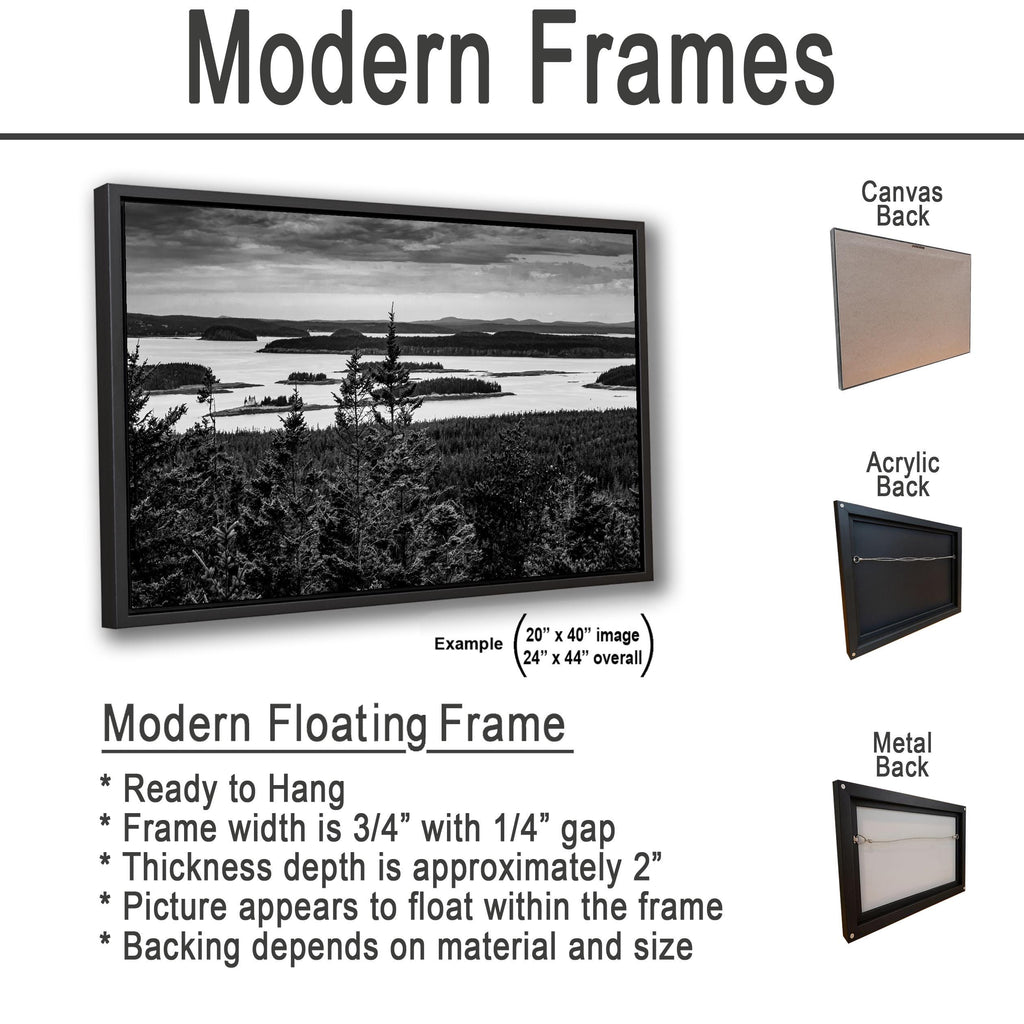 Beyond the Pines: Acadia National Park Maine Islands Black White Wall Art