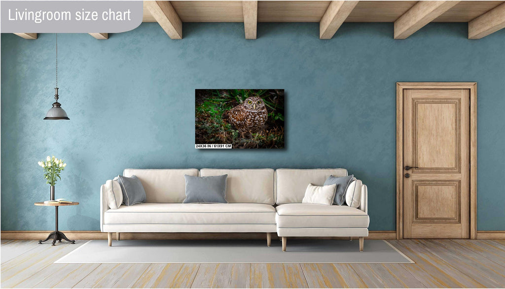 Burrowing Owl’s Grace on the Ground – Cape Coral’s Most Adorable Resident The Americas Print Wall Art Photography Aluminum/Metal/Canvas