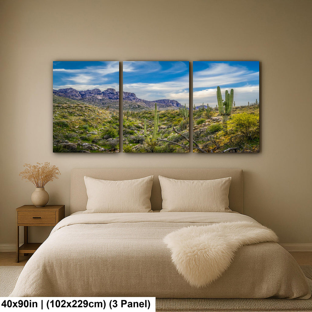 Sonoran Desert Valley with Saguaros and Mountains - Catalina State Park Tucson Arizona Photography Print