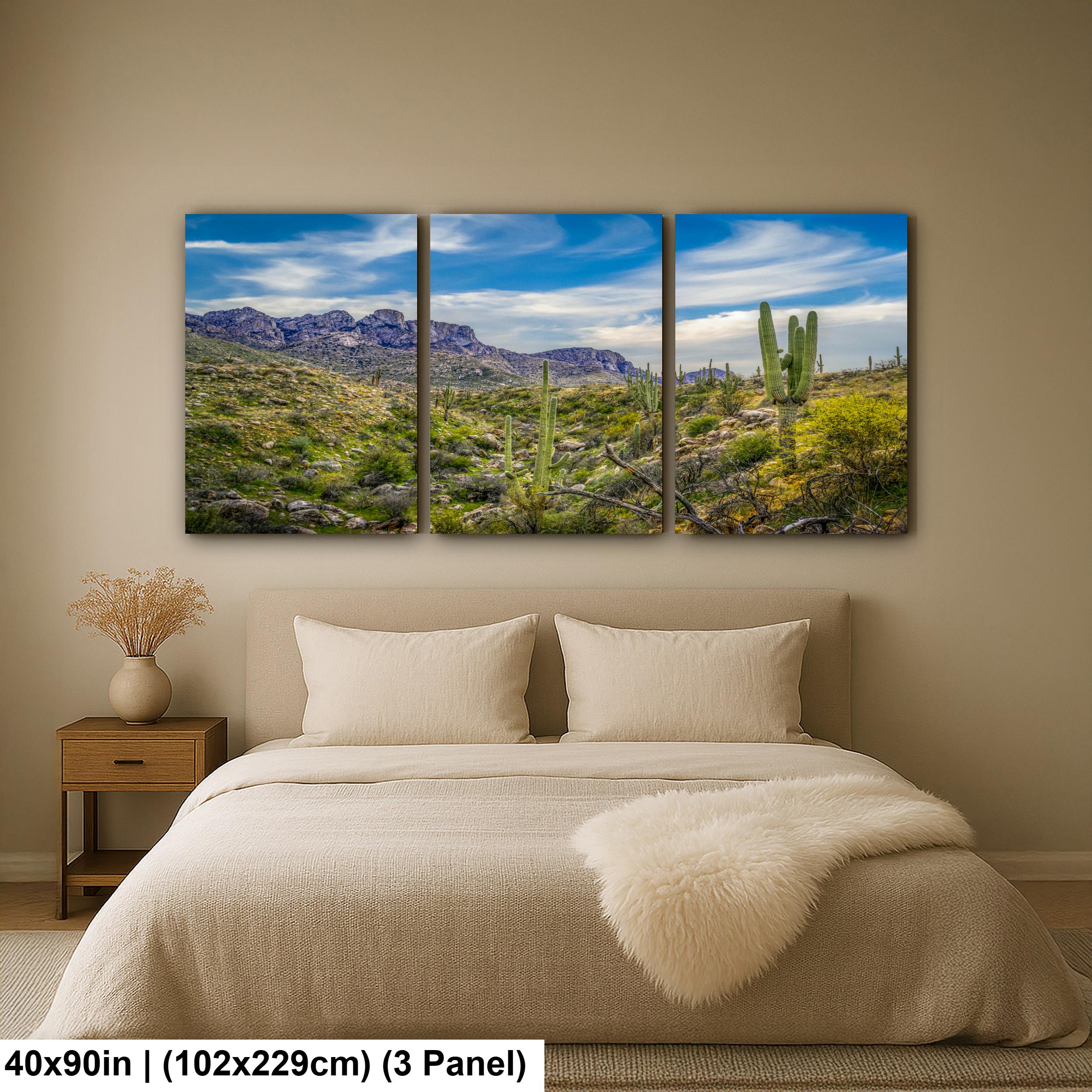 Sonoran Desert Valley with Saguaros and Mountains - Catalina State Park Tucson Arizona Photography Print