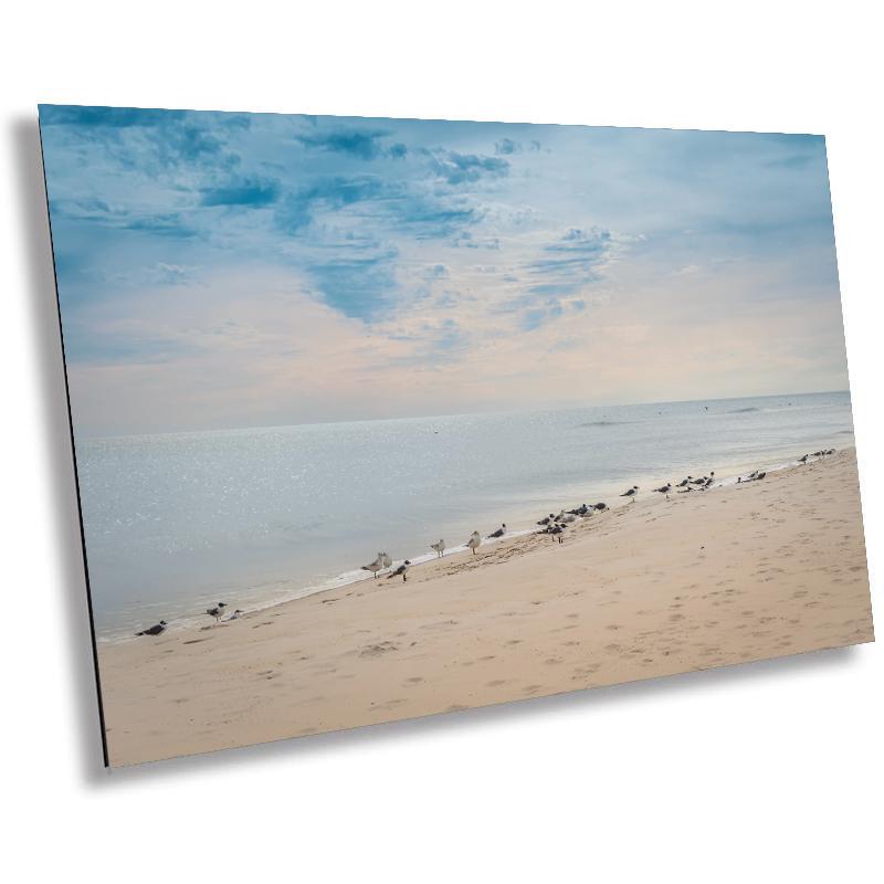 A wall art print featuring a beach scene with birds on Perdido Key, Florida, with a clear blue sky and calm ocean waters.