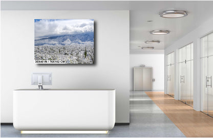 Saguaro National Park Print – Winter Saguaro Desert Wall Art With Snow