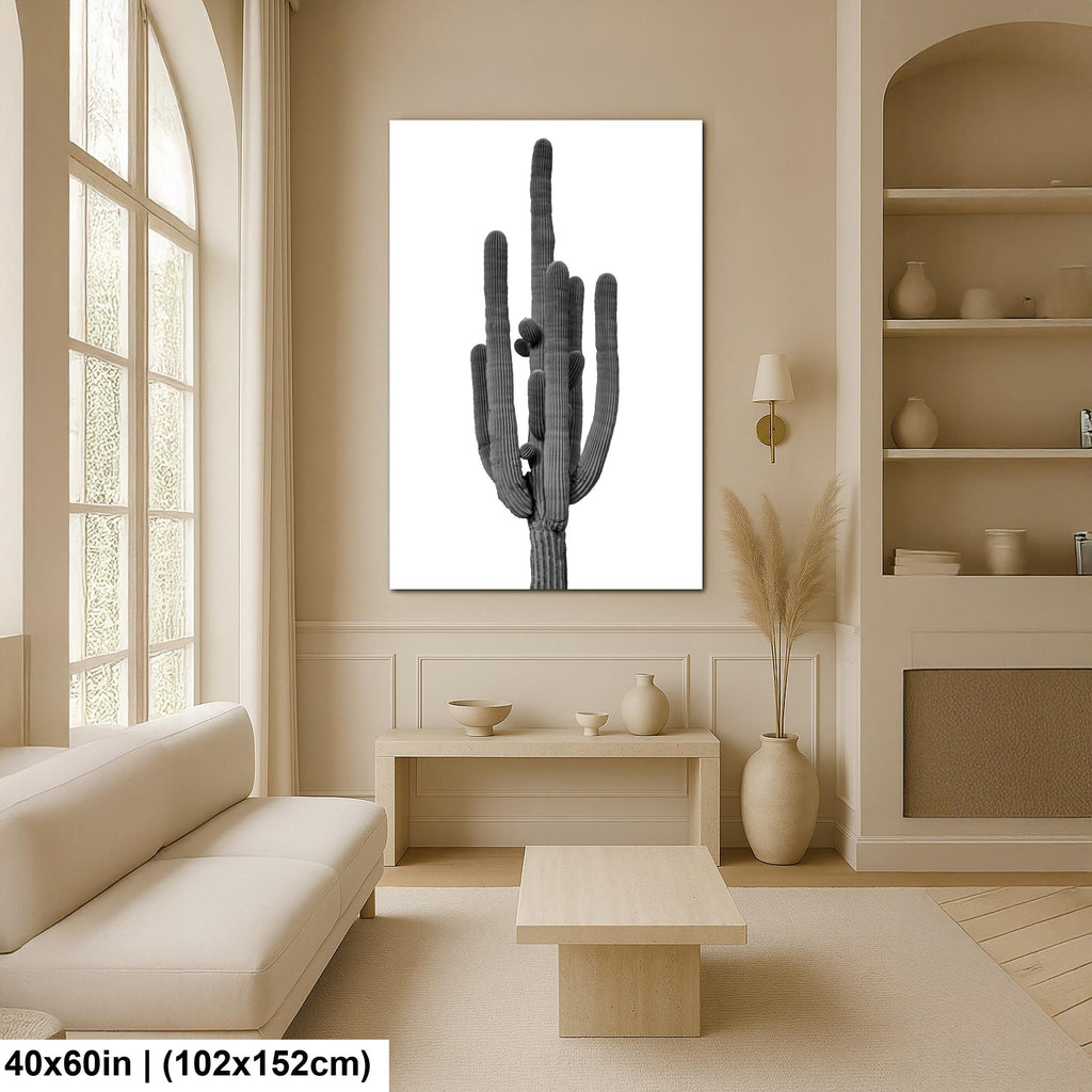 Joshua Tree Cholla Cactus Print: Black and White Desert Photography