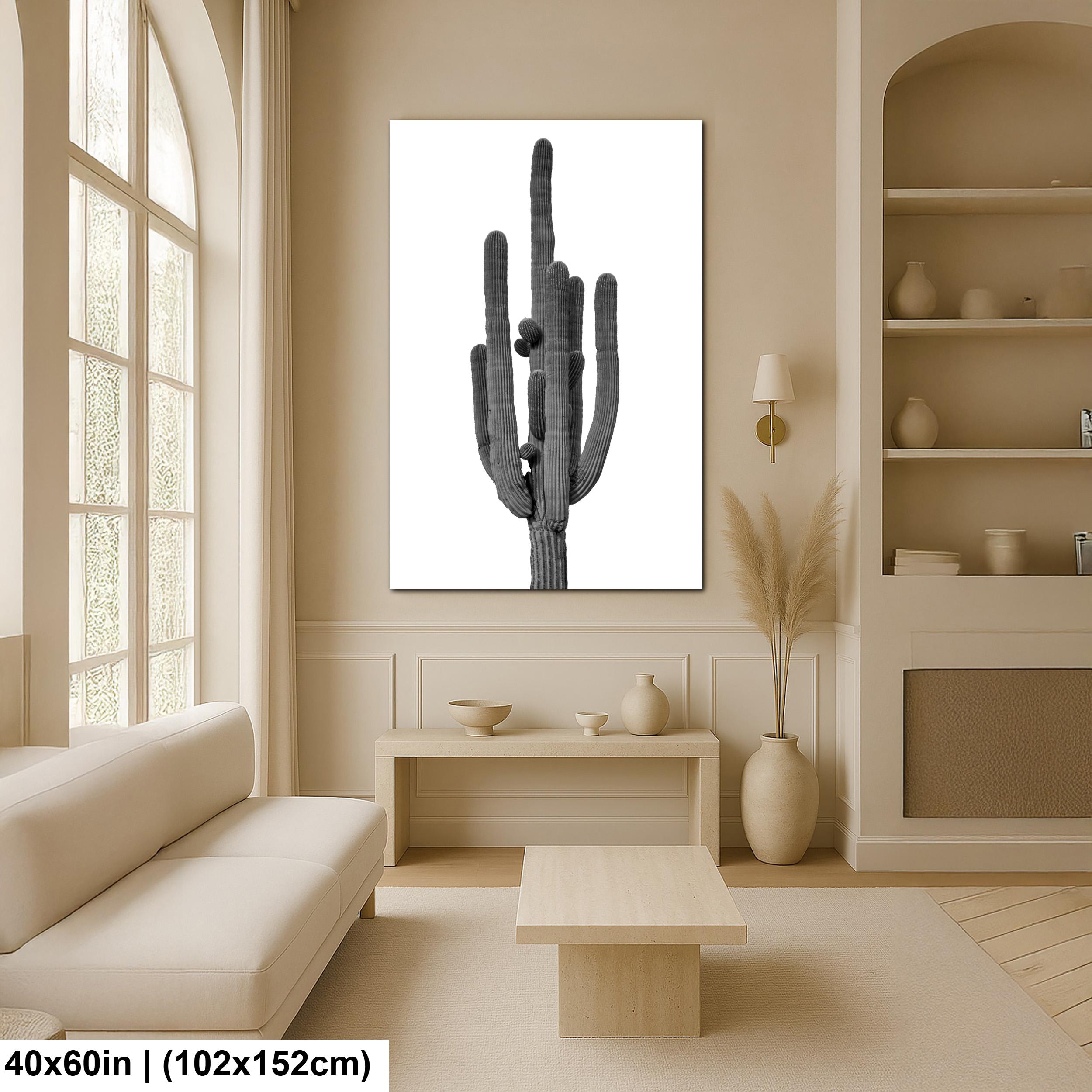 Joshua Tree Cholla Cactus Print: Black and White Desert Photography