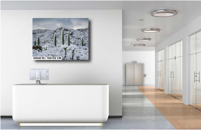 Saguaro National Park Winter Snow Photography Print: Tucson Desert Wall Art