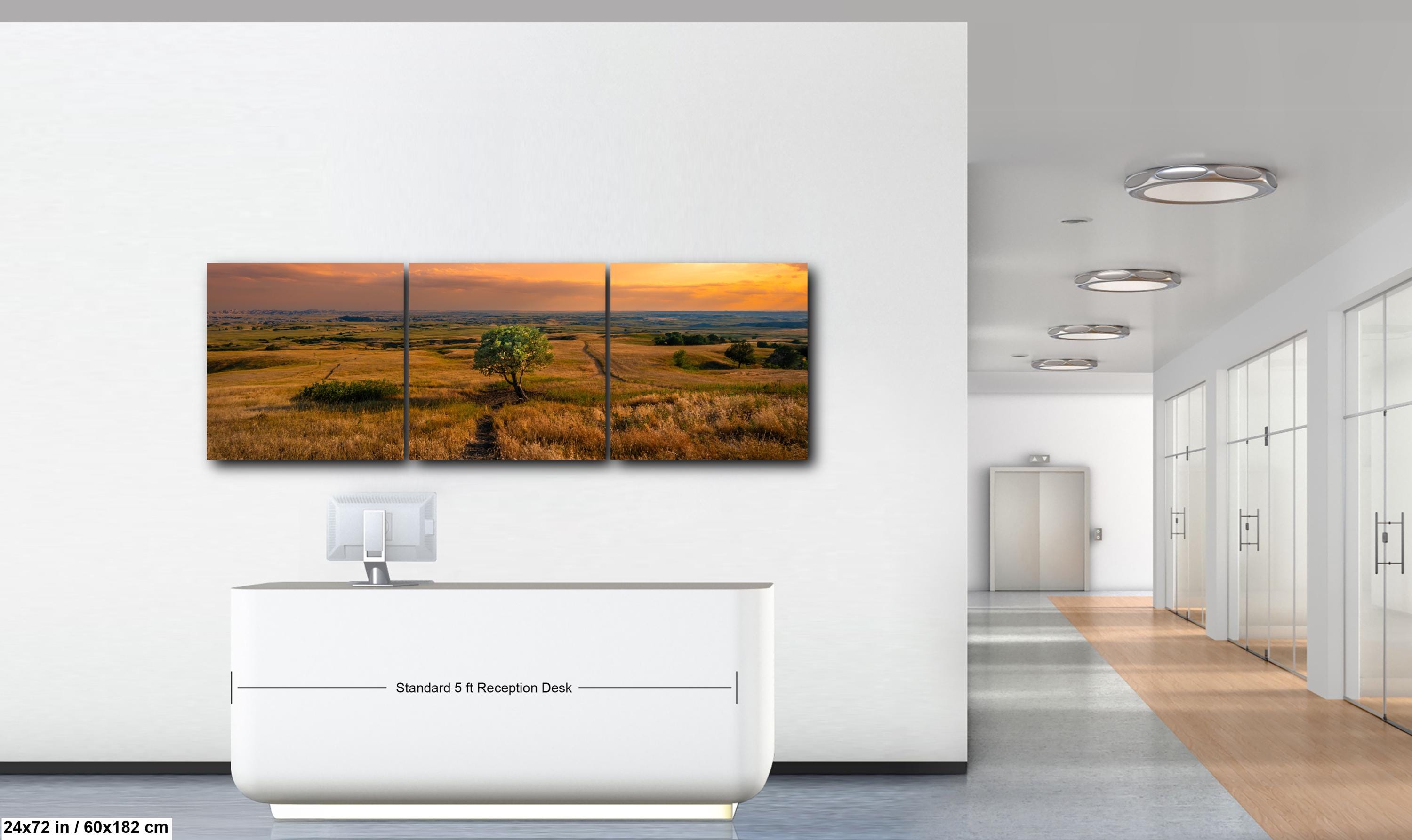 Golden Prairie Tree Badlands National Park South Dakota Photography Print, Western Landscape Wall Art, Sunset Home Decor