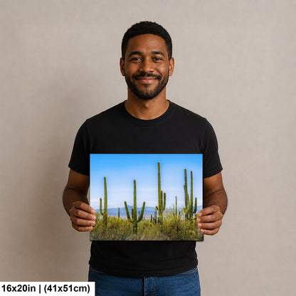Panoramic Saguaro Desert Landscape, Tucson Arizona Photography Print, Southwest Wall Art, Cactus Decor, Desert Mountain View
