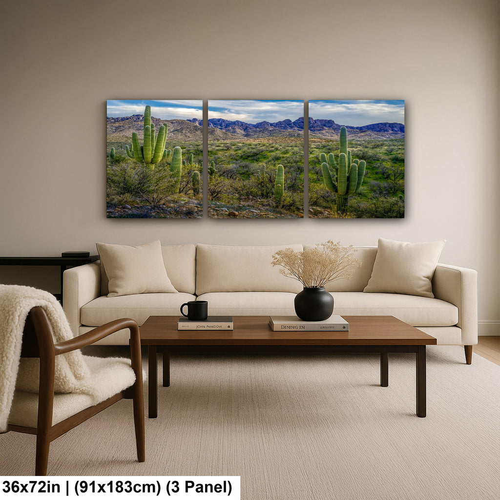 Sonoran Desert Landscape with Saguaros and Mountain Ridge - Tucson Arizona Photography Print