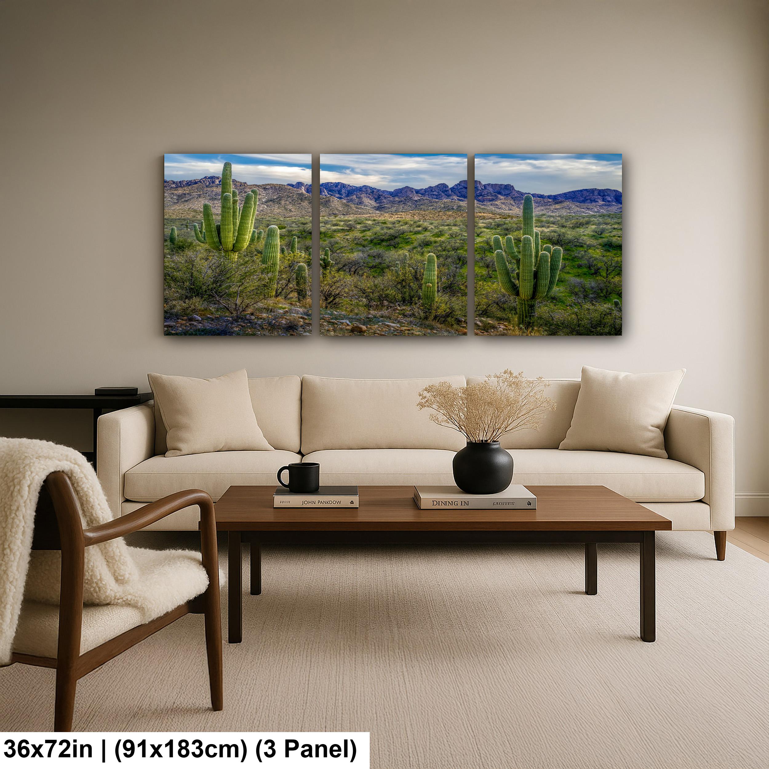 Sonoran Desert Landscape with Saguaros and Mountain Ridge - Tucson Arizona Photography Print