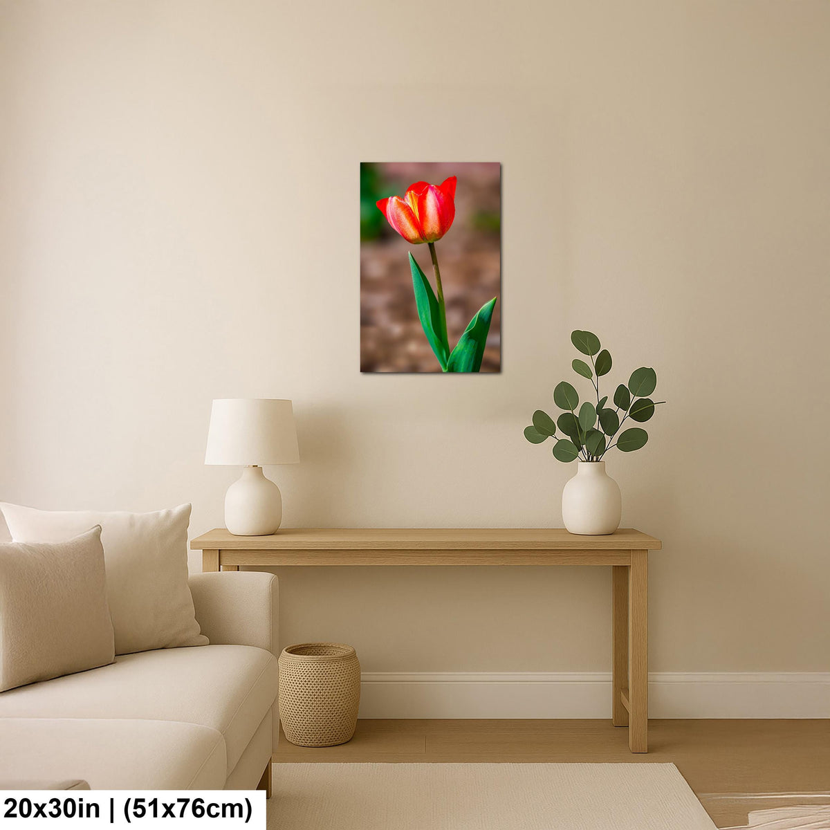 Scarlet Elegance: Red Tulip Flower Botanical Photography Wall Art