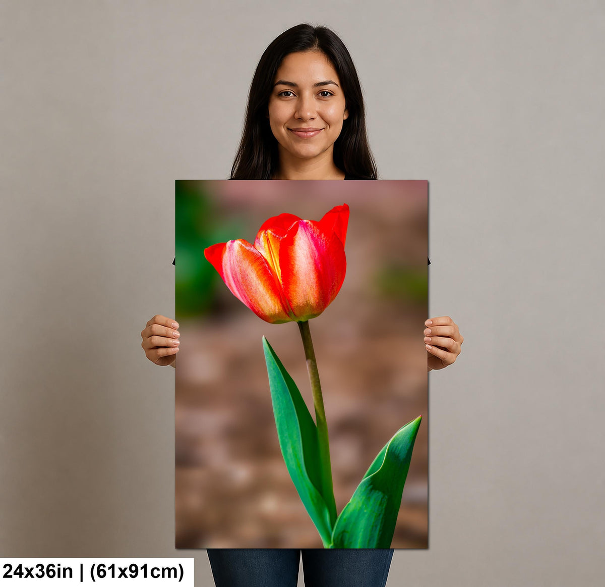 Scarlet Elegance: Red Tulip Flower Botanical Photography Wall Art