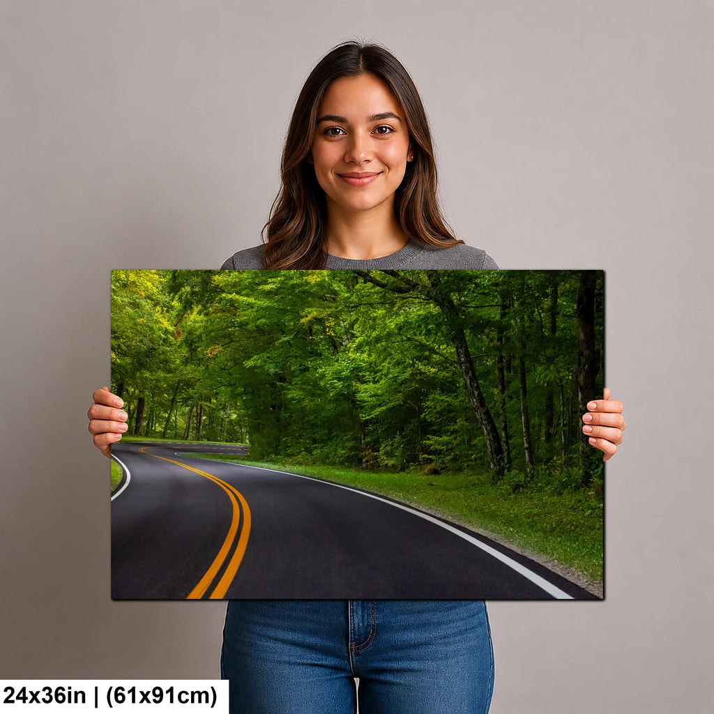 Forest Passage: Curved Road Great Smoky Mountains National Park Wall Art