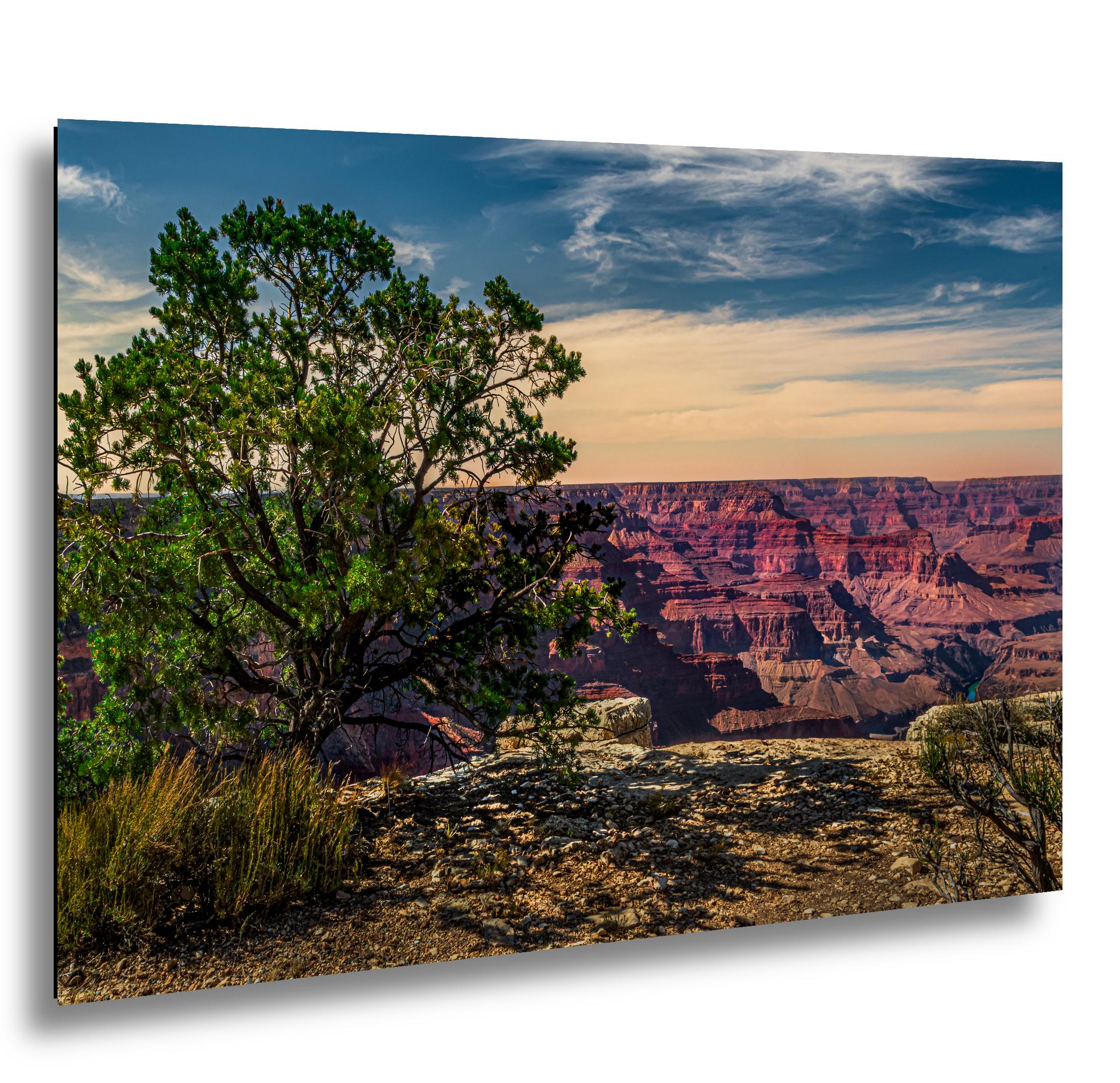 Juniper Tree Overlooking Grand Canyon, South Rim Arizona Wall Art, Canyon Landscape Photography Print