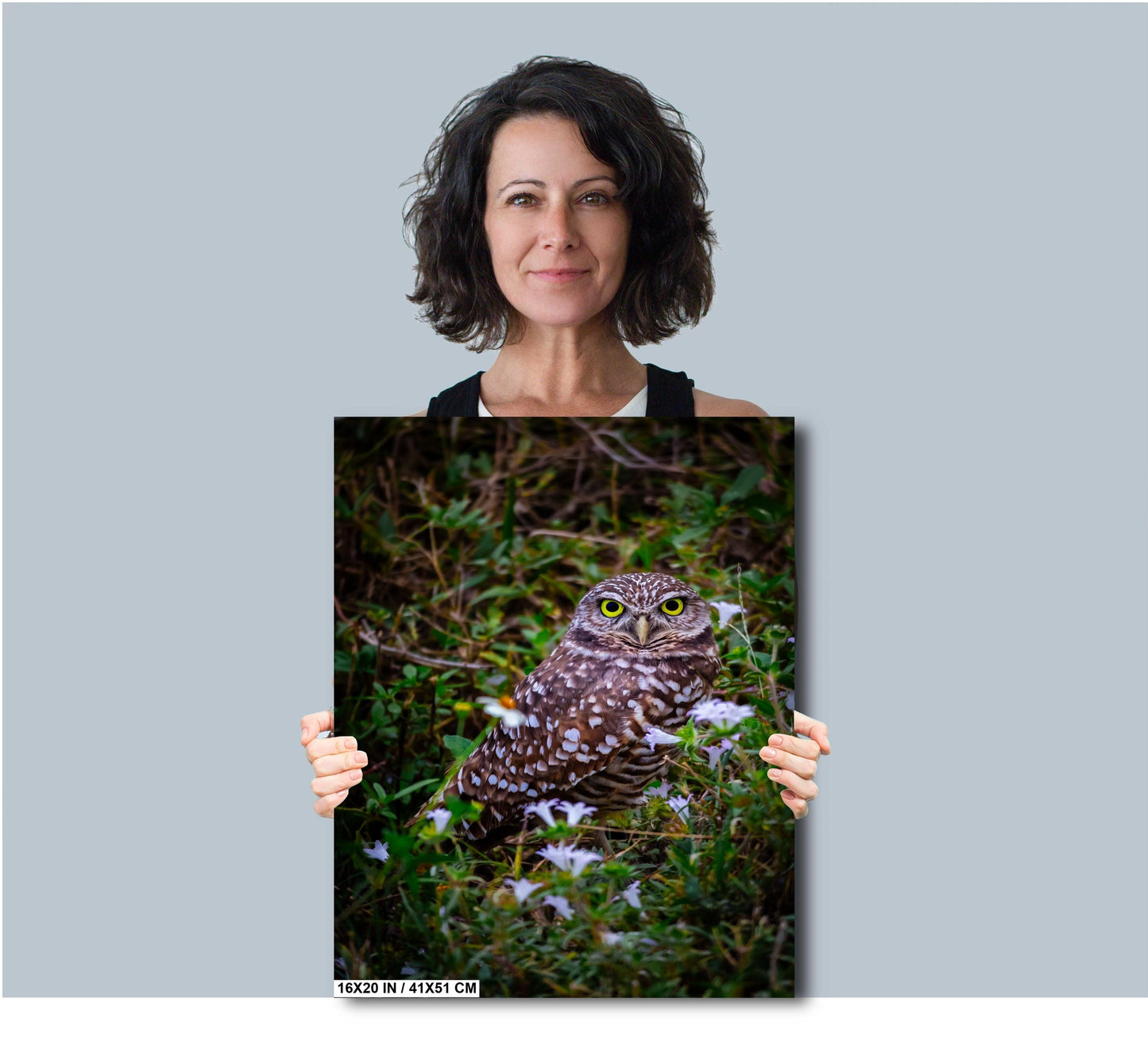 Burrowing Owl in the Wild – A Florida Treasure in Cape Coral Print The Americas Wall Art Photography Aluminum/Acrylic/Metal/Canvas