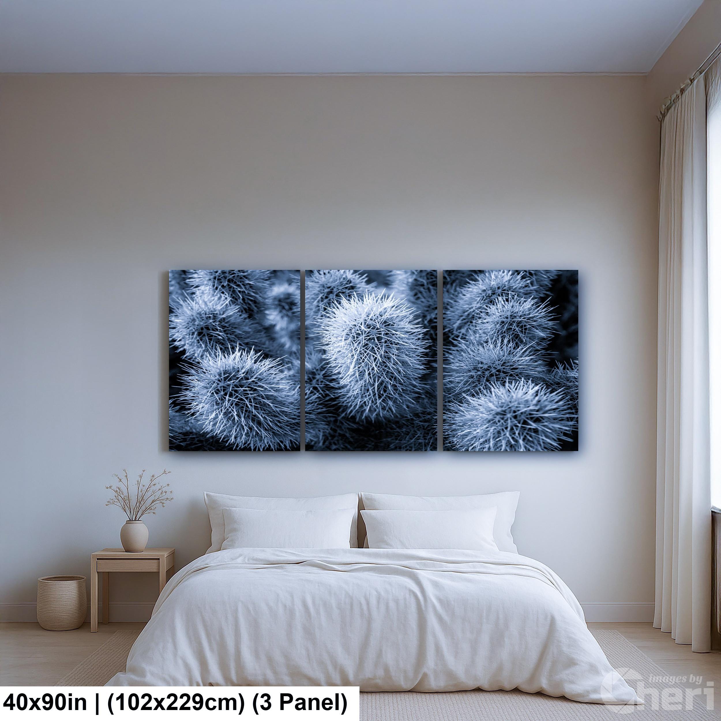 Cholla Cactus Spines Black and White - Saguaro National Park East Tucson Photography Print