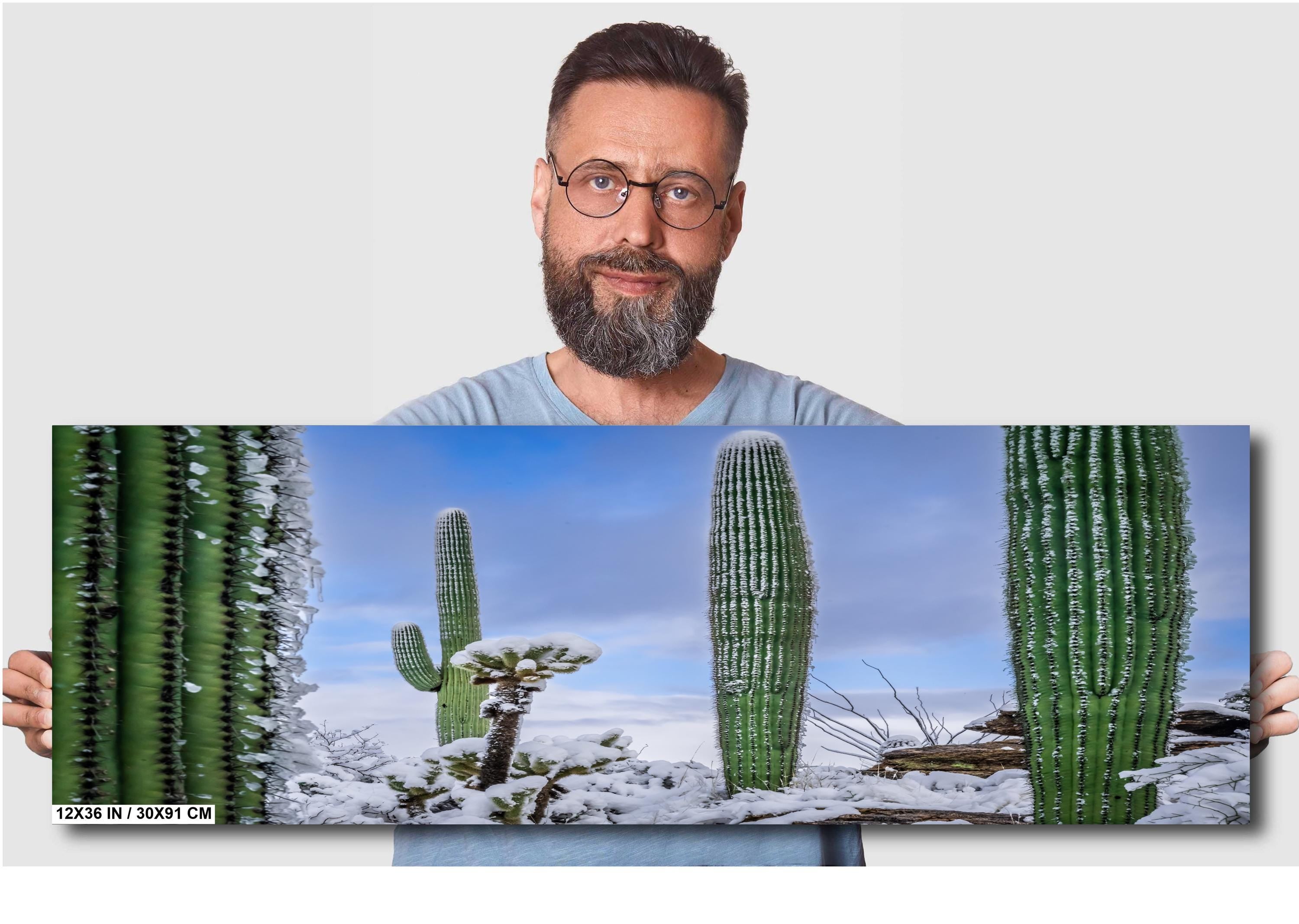 Saguaro Cactus Wall Art - Snow-Covered Desert Landscape Print | Southwest Art