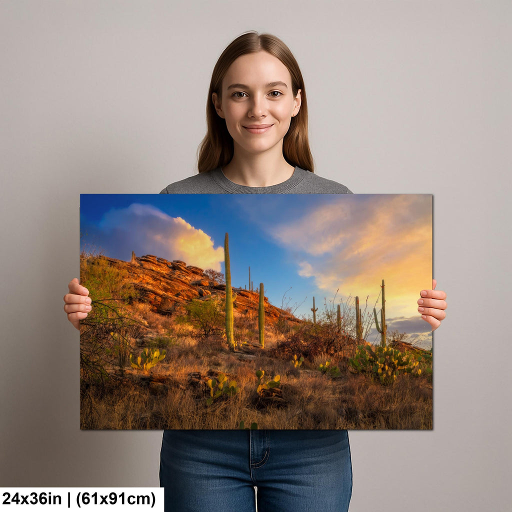 Sonoran Desert Sunset on Rocky Hillside - Saguaro National Park East Tucson Photography Print