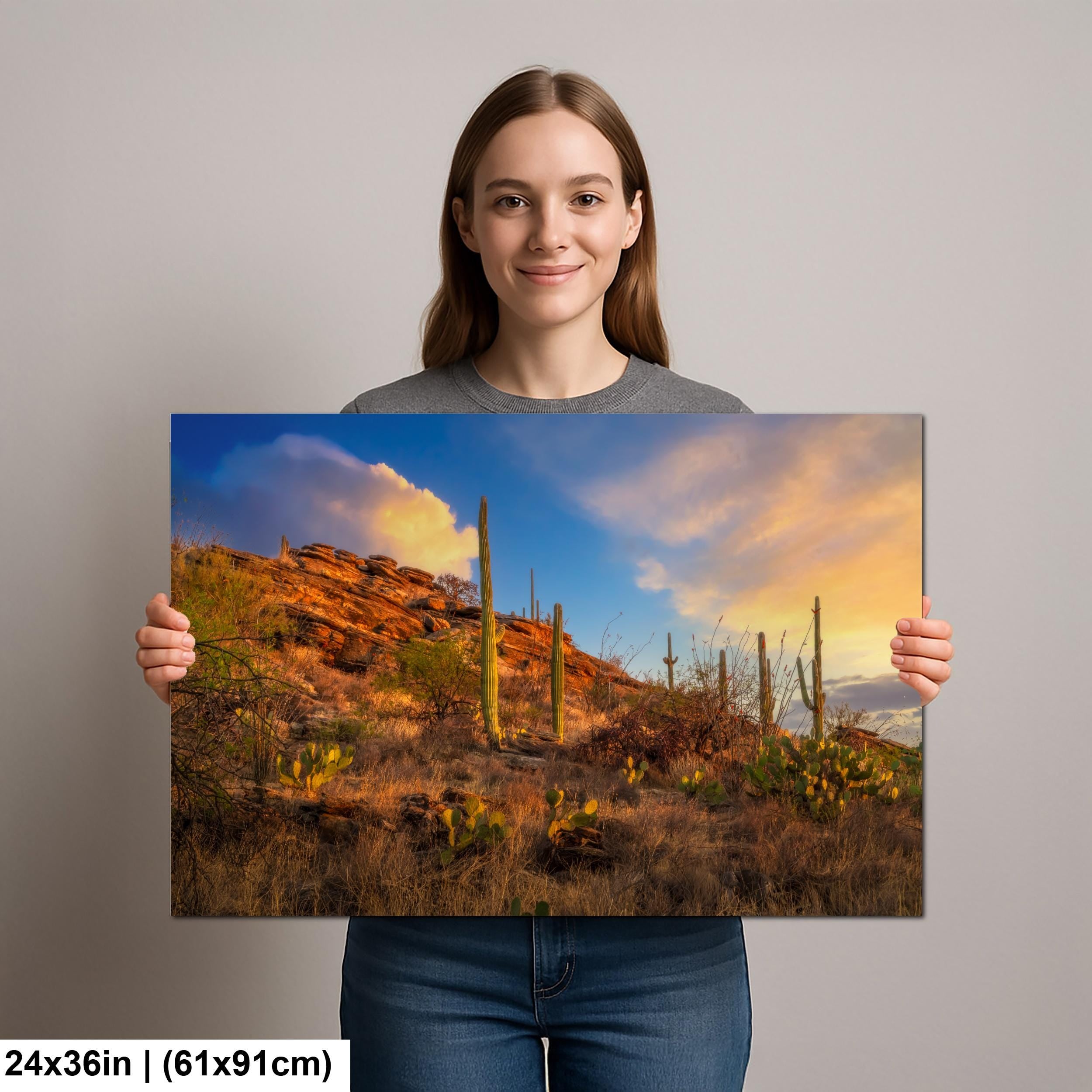 Sonoran Desert Sunset on Rocky Hillside - Saguaro National Park East Tucson Photography Print