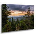 Between the Pines: Scenic View Great Smoky Mountains TN Photo Wall Art