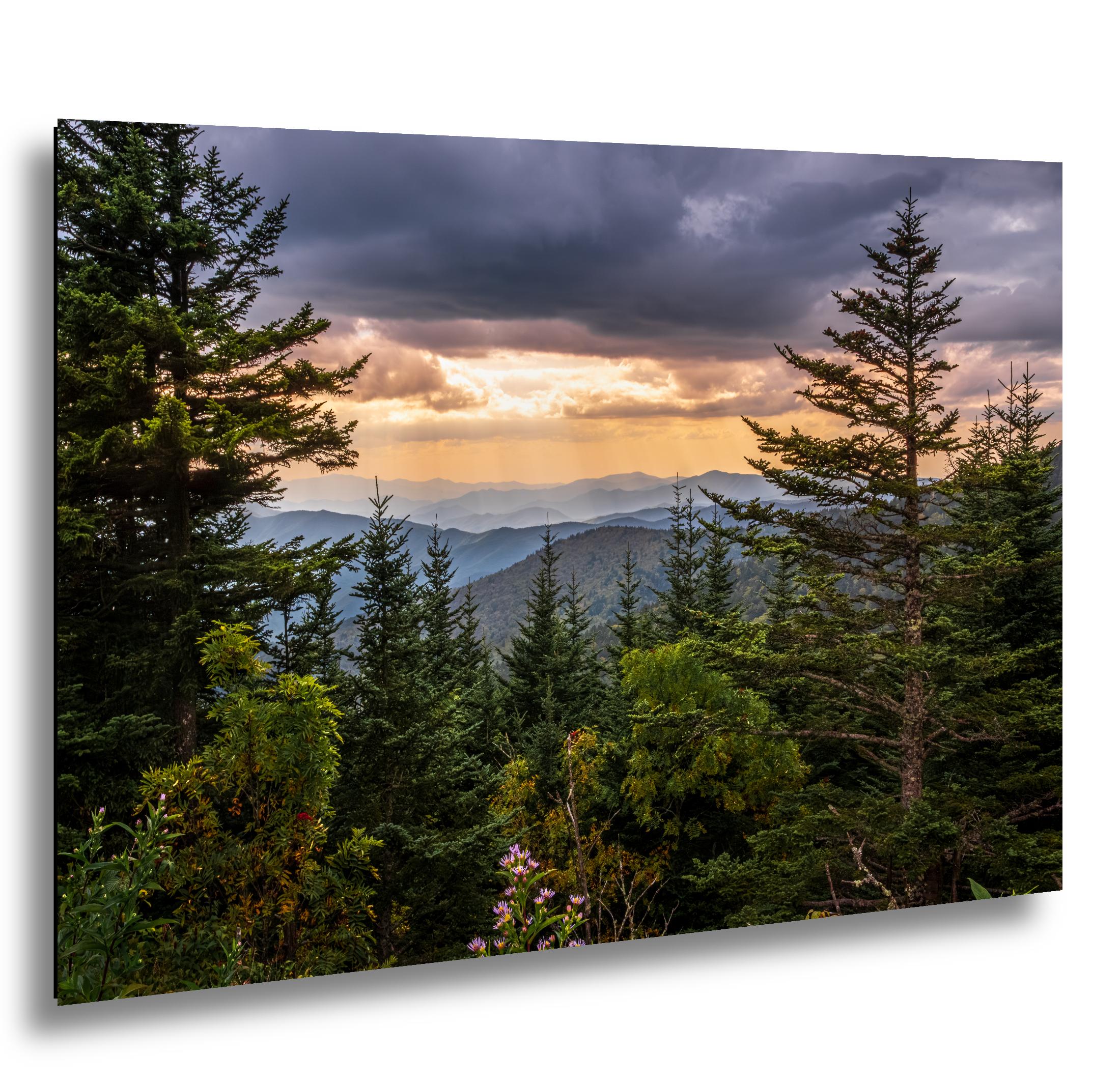 Between the Pines: Scenic View Great Smoky Mountains TN Photo Wall Art