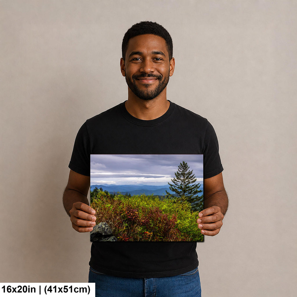 Autumn's Edge: Great Smoky Mountains Tennessee Nature Photography Wall Art