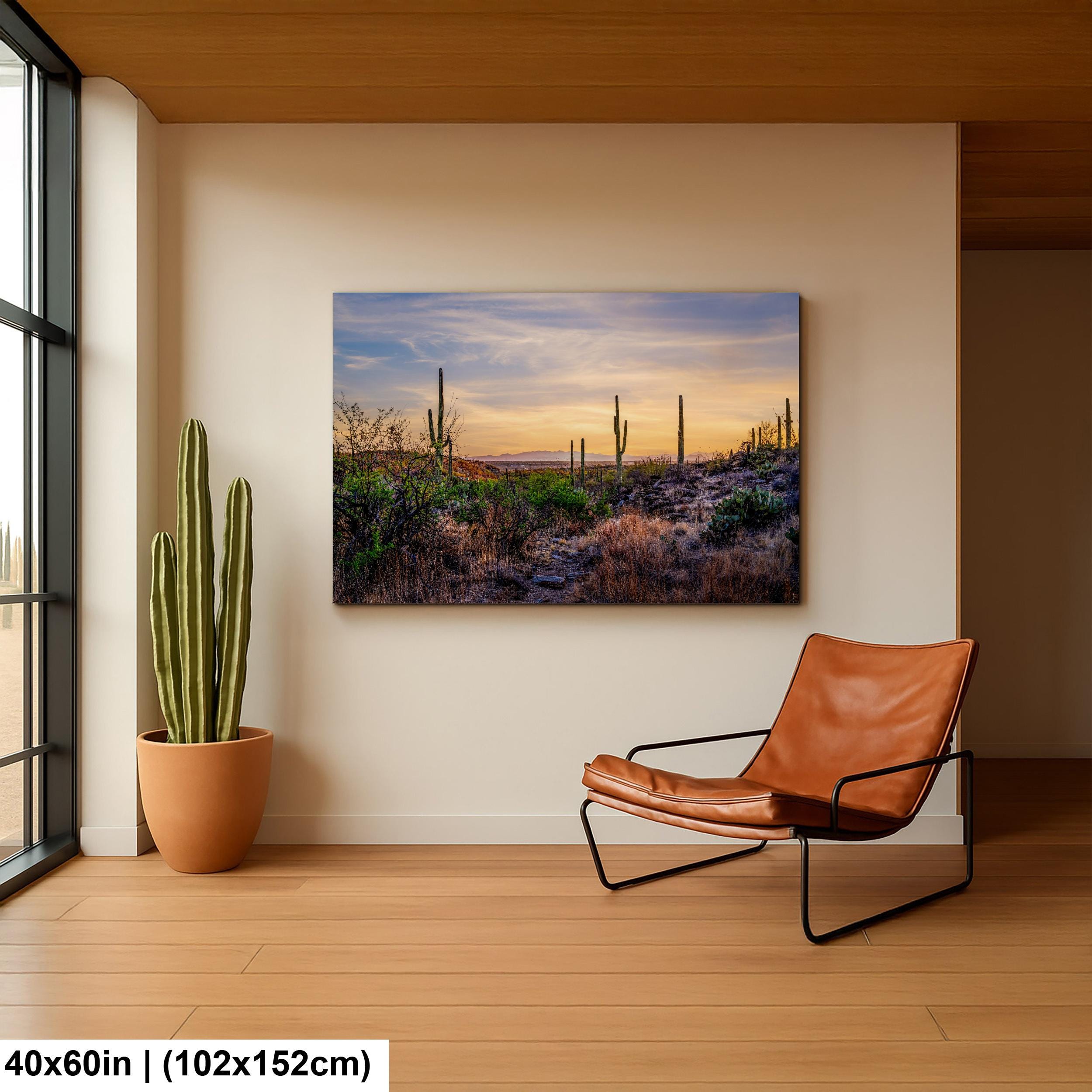 Sonoran Desert Valley Sunset with Saguaros - Saguaro National Park East Tucson Photography Print
