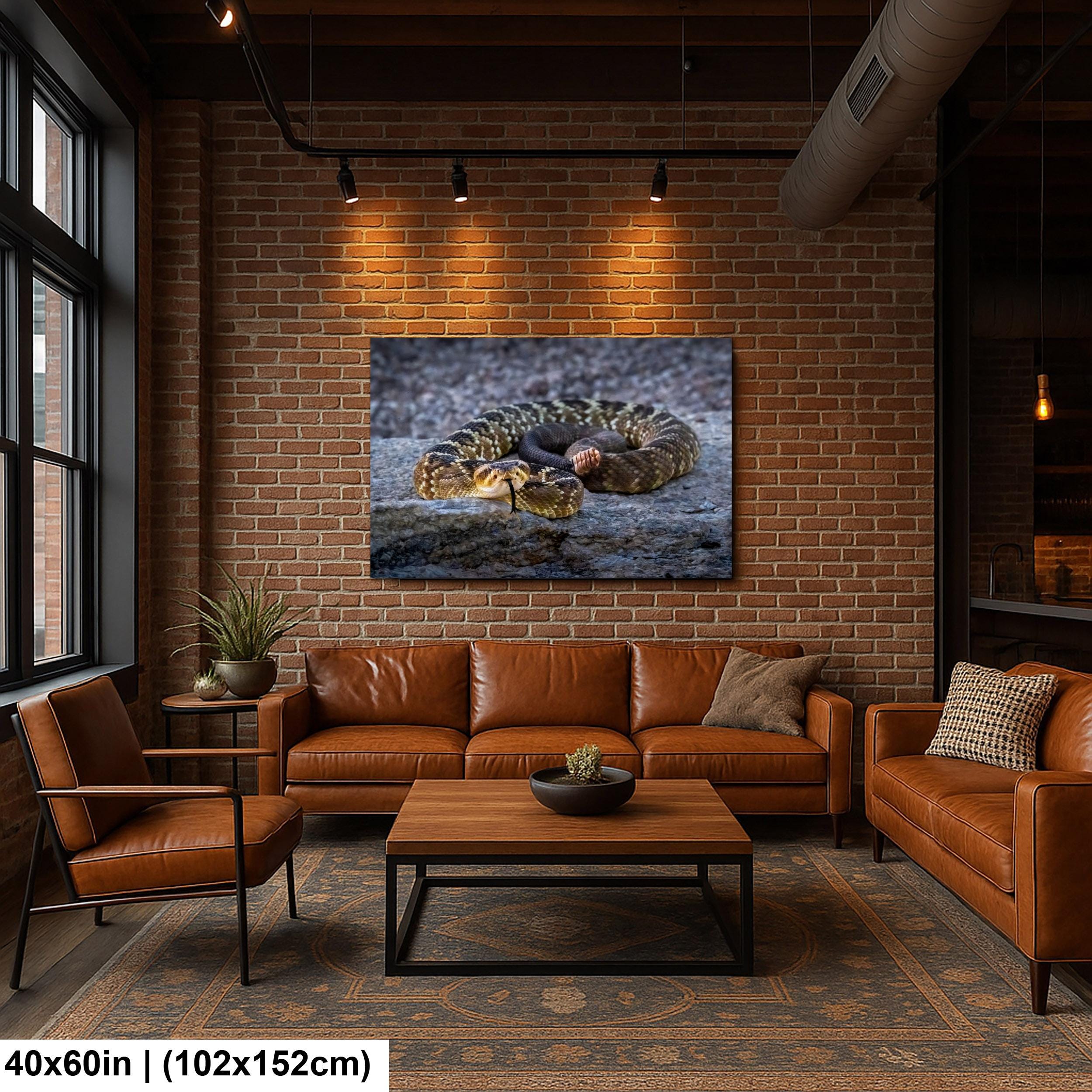 Black-Tailed Rattlesnake Print – Tucson Desert Wildlife Art | Ready to Hang Canvas