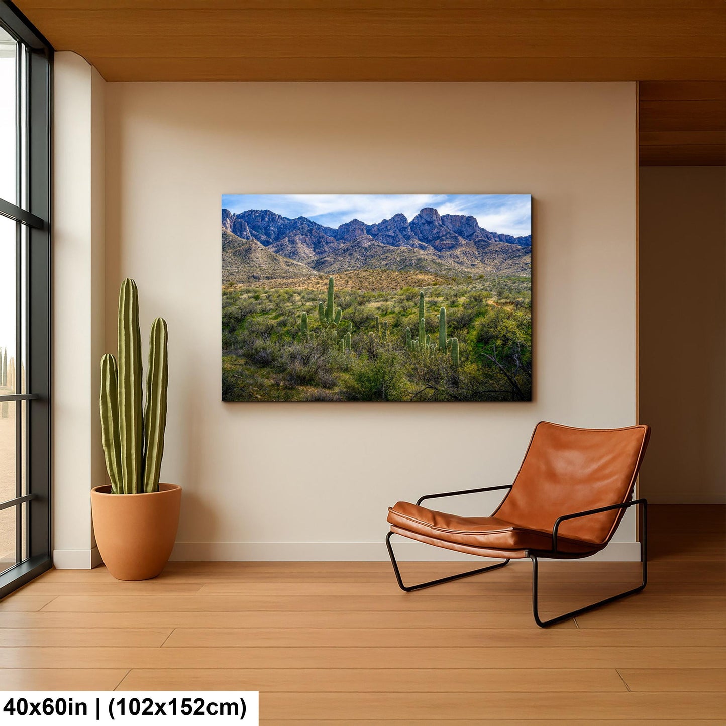 Catalina State Park Saguaros with Rocky Mountain Peaks - Tucson Arizona Sonoran Desert Photography Print