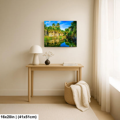 Palm Oasis Reflection Photography Print, Coachella Valley Preserve California, Desert Water Nature Wall Art