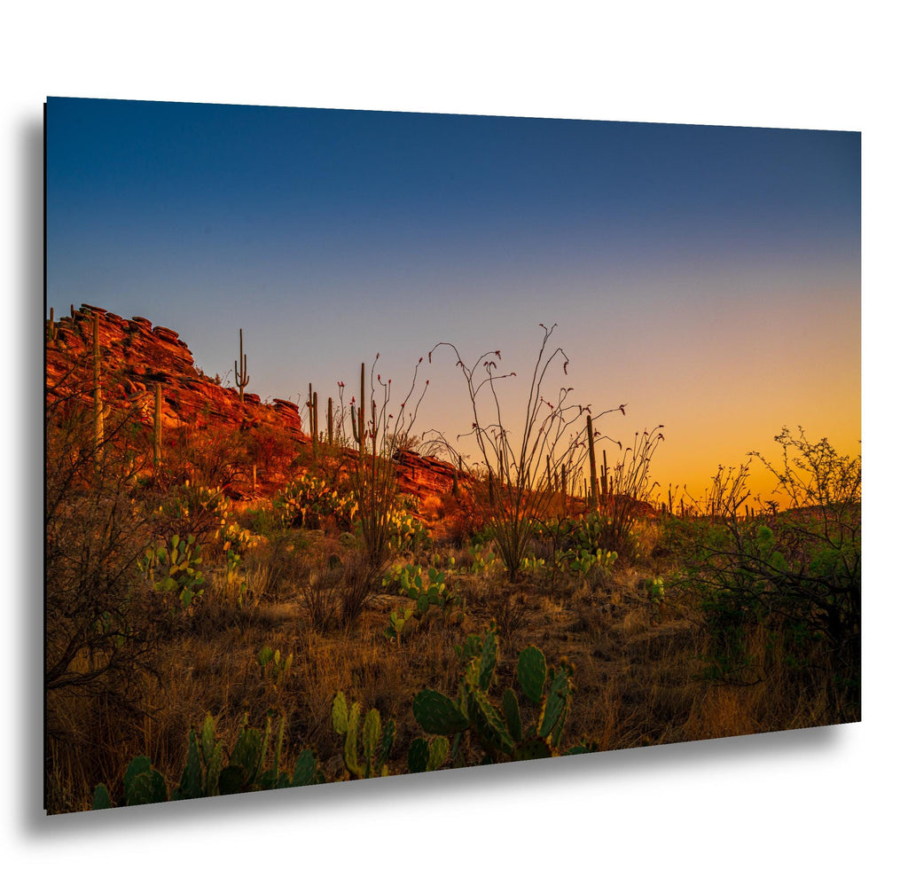 Sonoran Desert Sunset with Saguaros and Ocotillo - Saguaro National Park East Tucson Photography Print