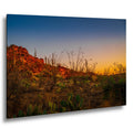 Sonoran Desert Sunset with Saguaros and Ocotillo - Saguaro National Park East Tucson Photography Print