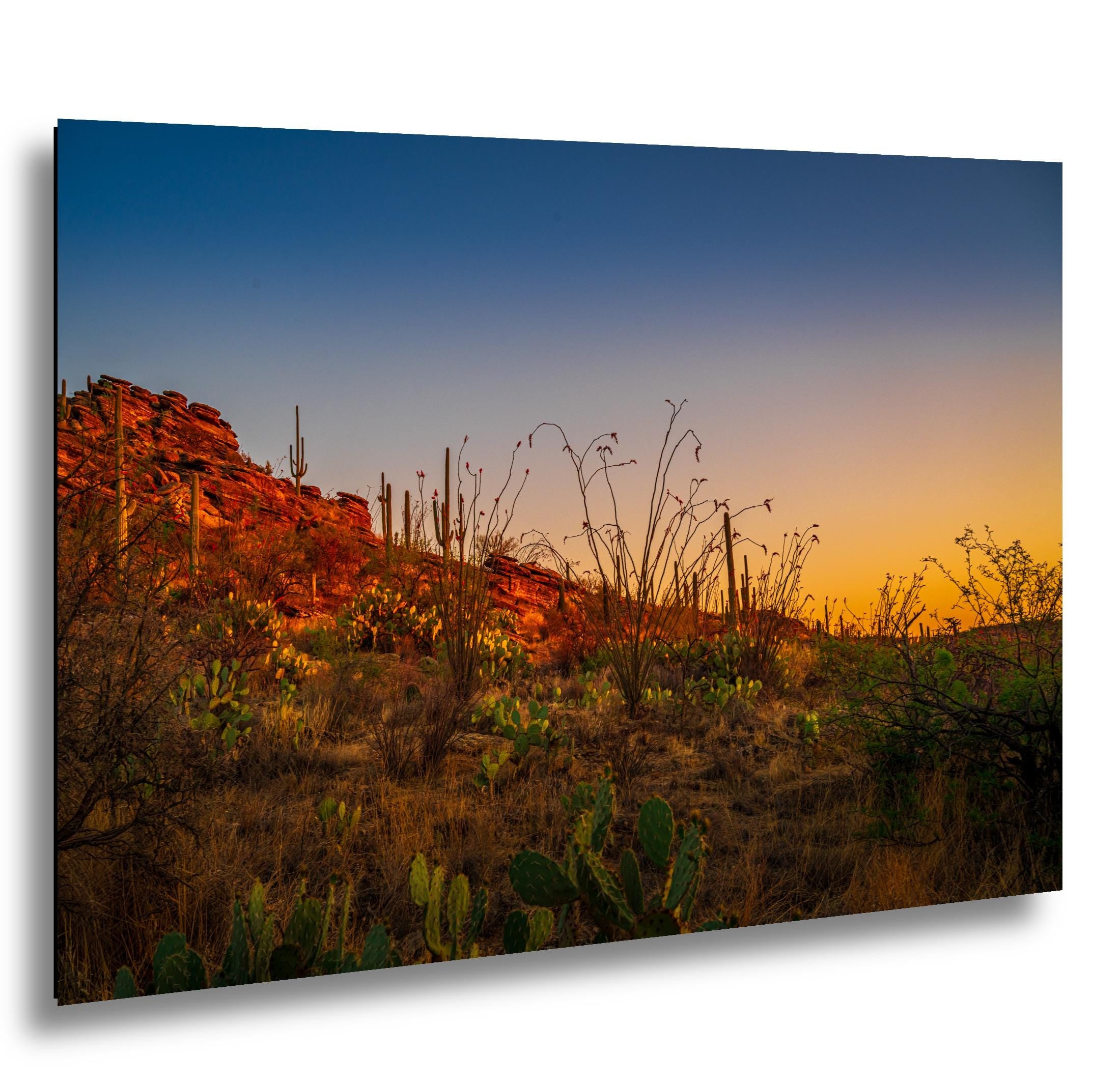 Sonoran Desert Sunset with Saguaros and Ocotillo - Saguaro National Park East Tucson Photography Print