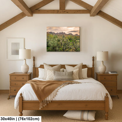 Catalina State Park Blooming Cholla - Tucson Arizona Desert Mountains Photography Print