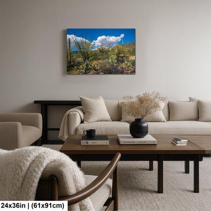 Sonoran Desert Spring Wildflowers with Saguaros - Sabino Canyon Tucson Arizona Photography Print