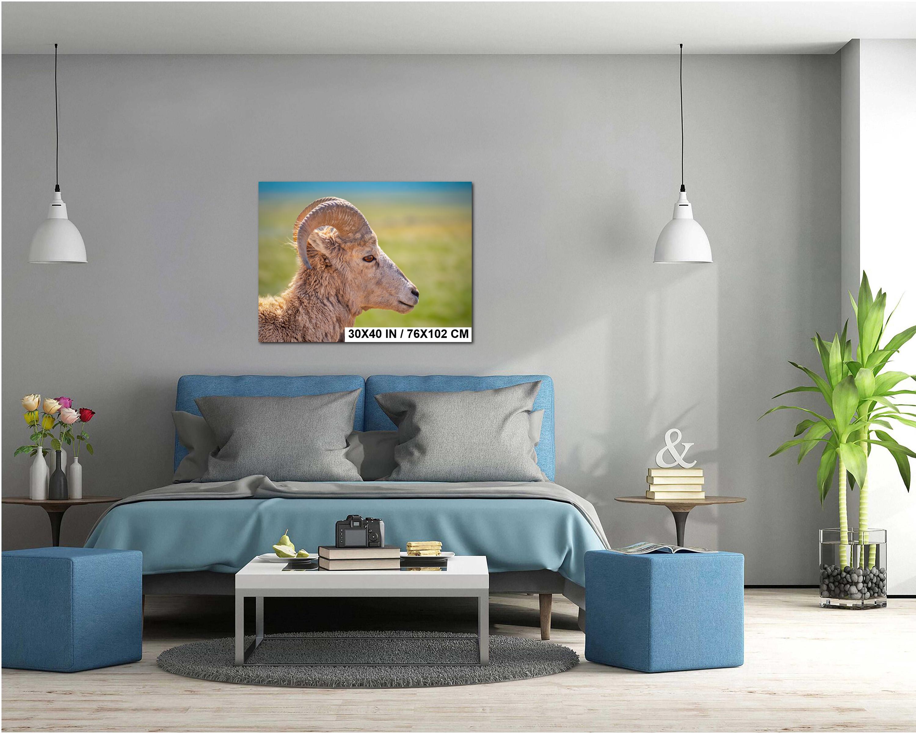 Bighorn Sheep Side Face Badlands National Park South Dakota Wildlife Photo Print, Nature Wall Art Decor, Animal Photography Home Decor