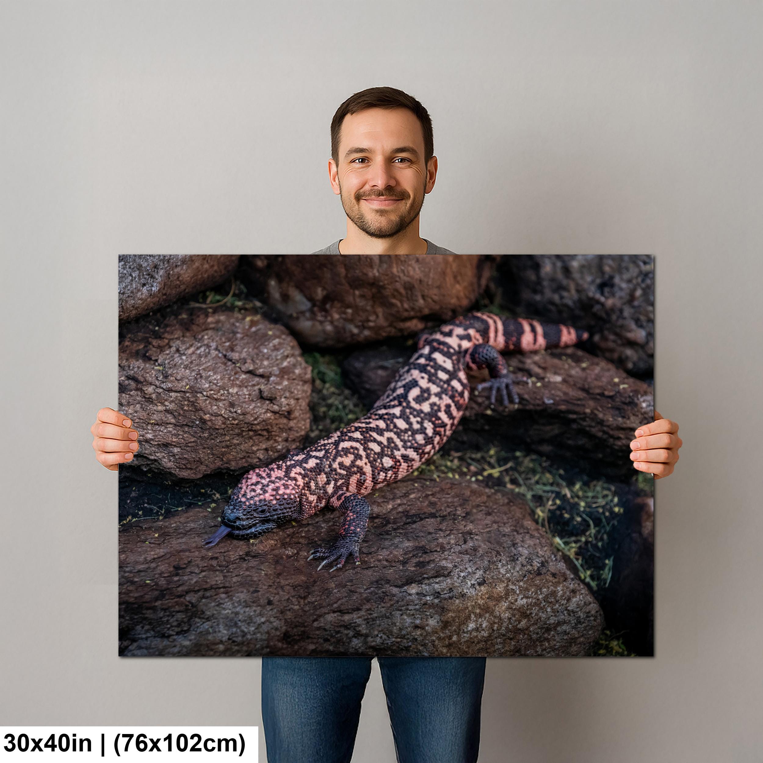 Gila Monster Print – Desert Wildlife Art | Arizona Reptile Photography Canvas