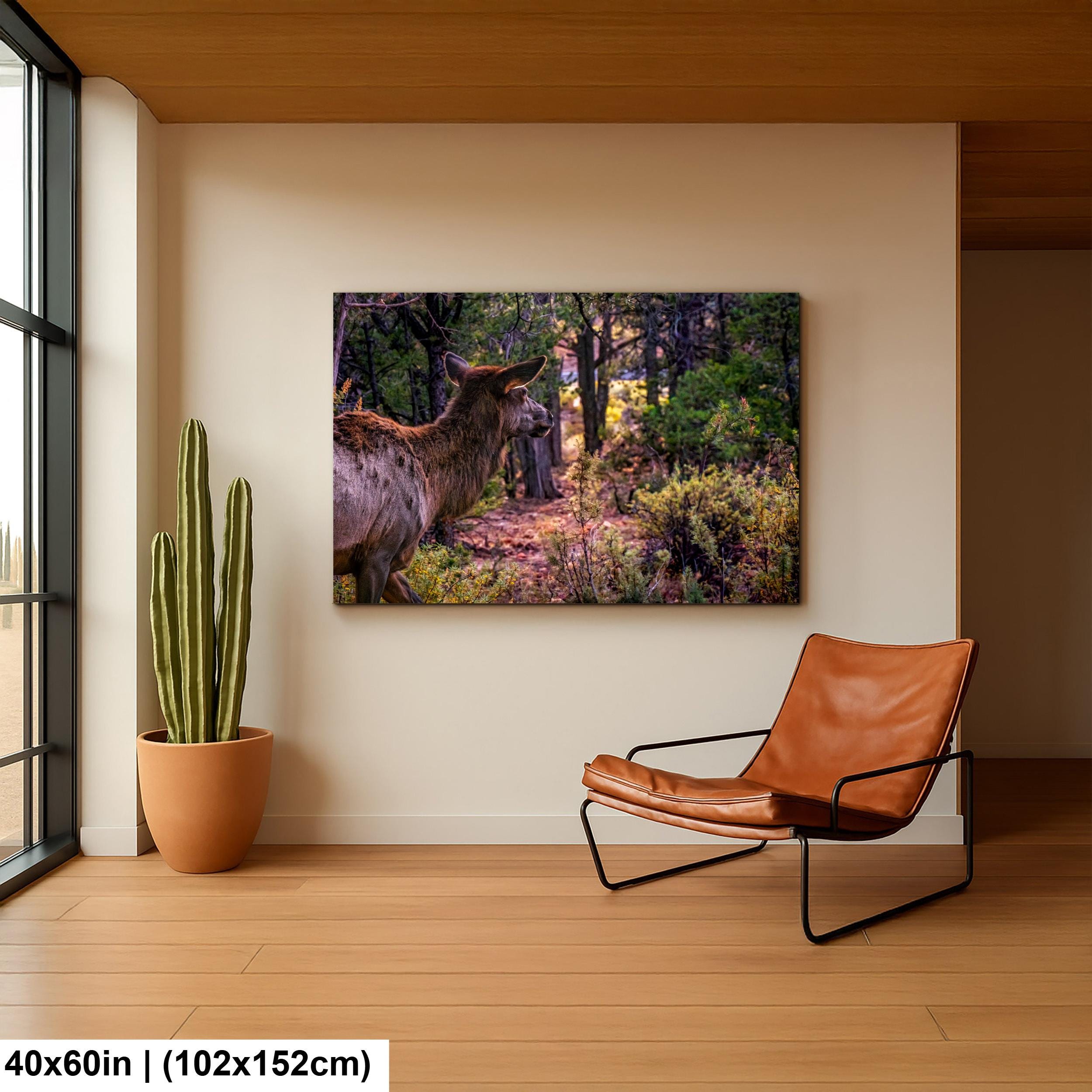 Elk In The Forest, Grand Canyon National Park Arizona, Photography Print Wall Art, Wildlife Nature