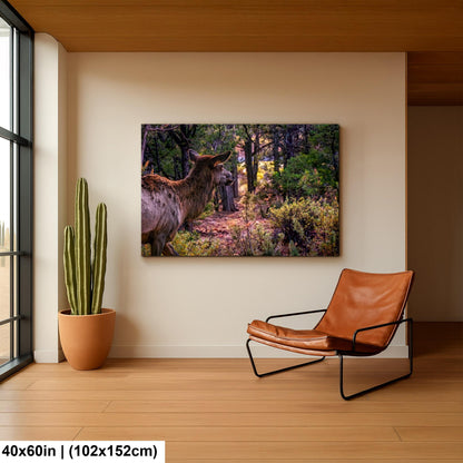 Elk In The Forest, Grand Canyon National Park Arizona, Photography Print Wall Art, Wildlife Nature