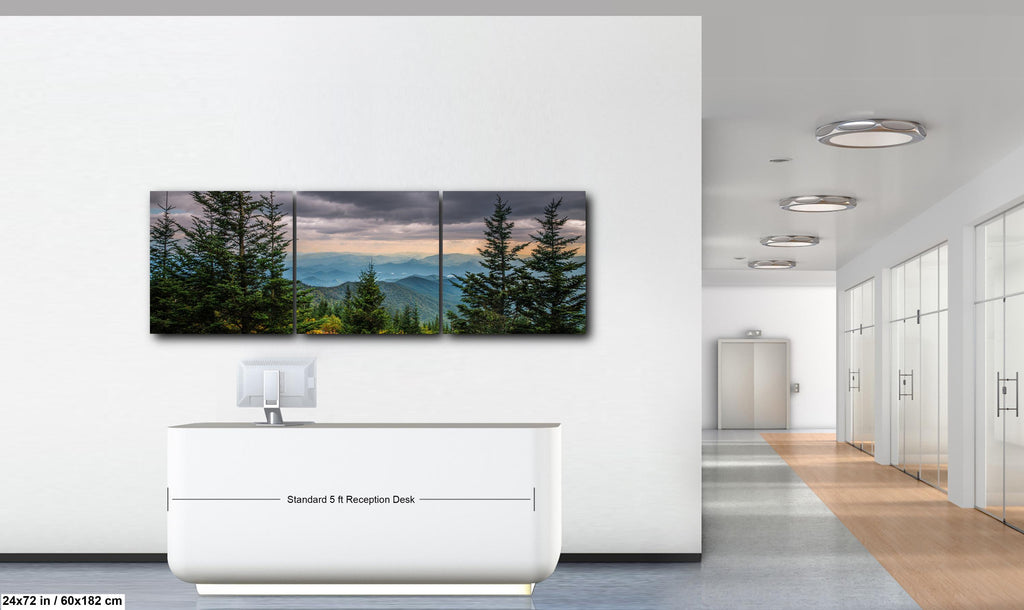 Through the Pines: Great Smoky Mountains National Park TN Photo Wall Art