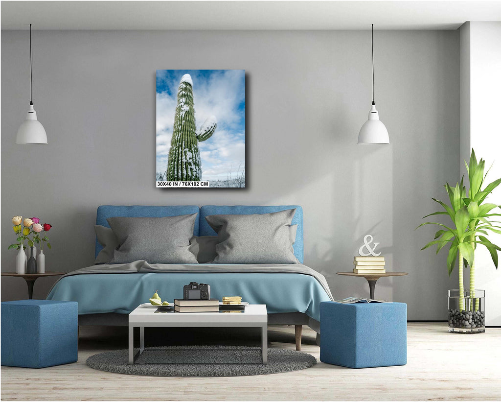 Snowy Saguaro Cactus Print: Arizona Winter Desert Photography